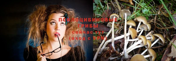 a pvp Карпинск
