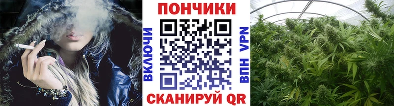Купить где  Весьегонск  Бошки Шишки тримм 